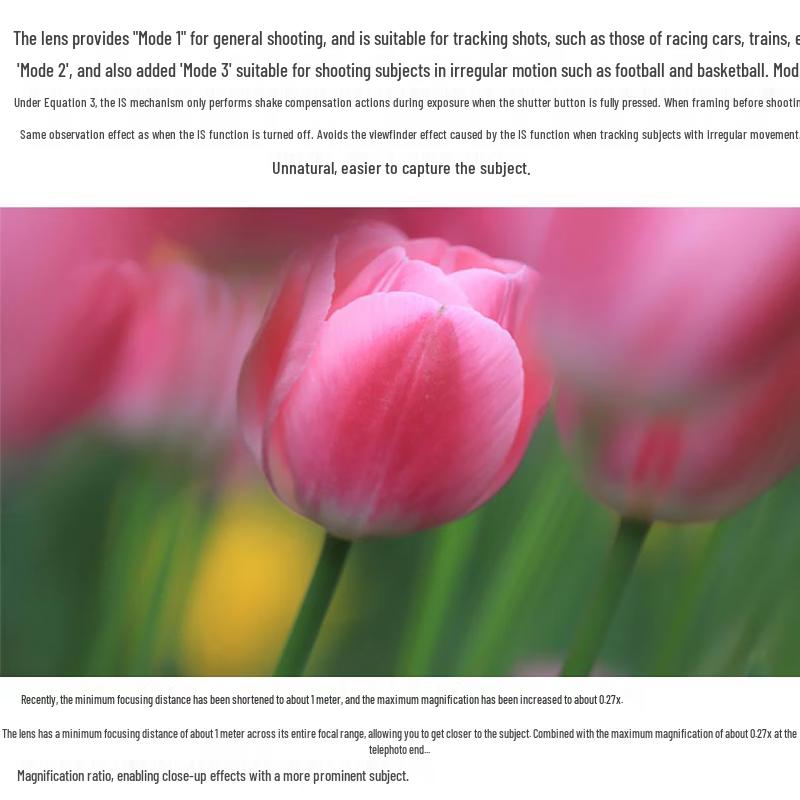 Canon Зеркальный объектив EF 70-200mm f/4L IS II USM