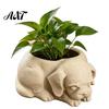 Wide Space Indoor Planter Cute Puppy Planter, 3D Printed Decorative Plant Pot, Unique Pot Dog Shaped for Succulents Home Office Decor Small Holder