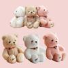 Lucky Teddy Bear Plush Toy For Girls Soft And Cuddly Stuffed Animal For Birthday Gift