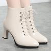 Women Victorian Ankle Boots British Style Thick Heel Shoes Fashion Lace Up Autumn And Winter Keep Warm Pointed Tip For Office