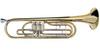 PLAYTECH Bass Trumpet, 3 Rotary, Lacquer Finish, Semi-Hard Case Included
