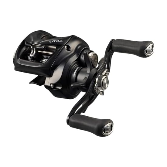 DAIWA Baitcasting Reel 24 TATULA TW 100XHL