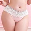 Women's Plus Size Lace Panties Sexy Low Waist Briefs Sheer Breathable Underwear