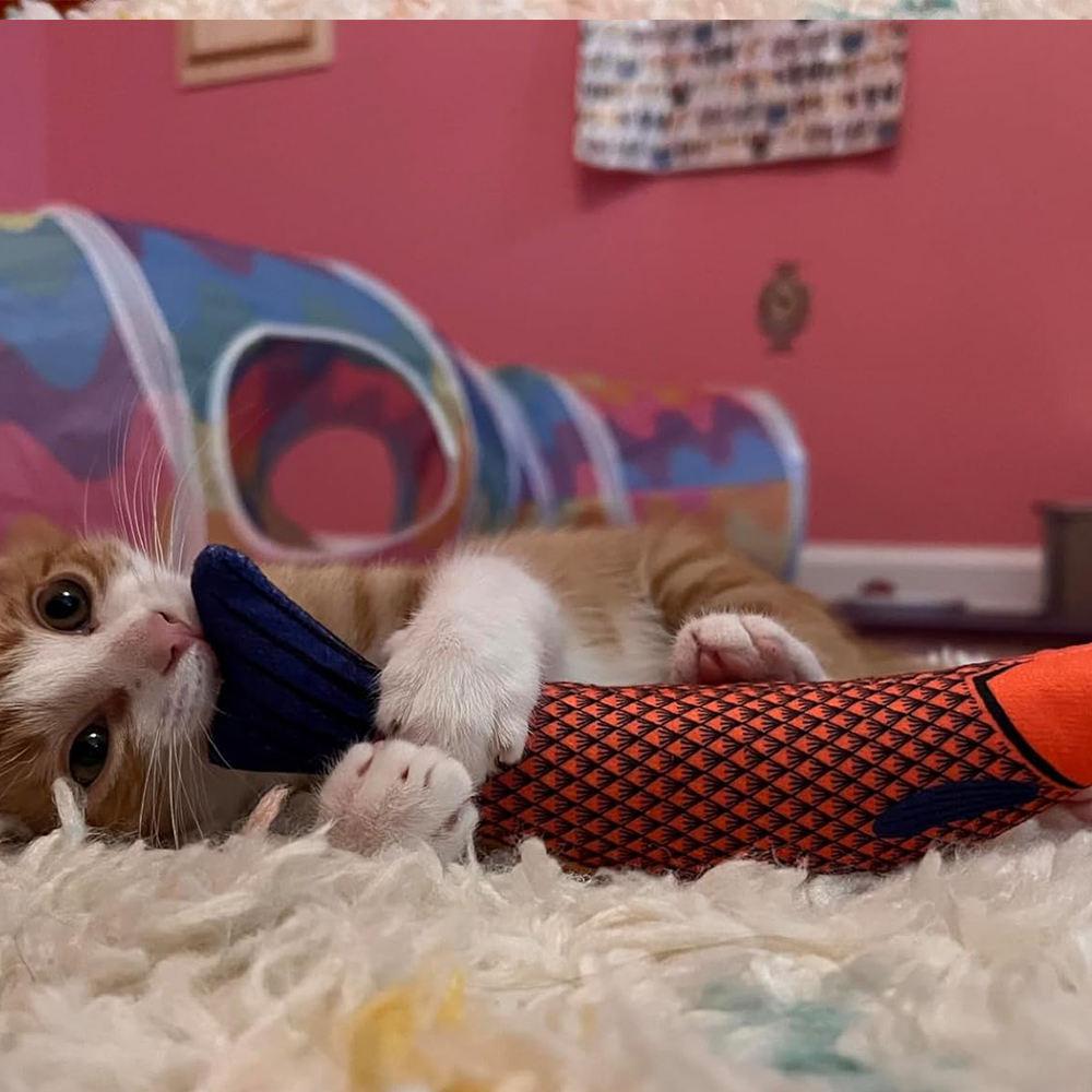 Pet Supplies Toys for Pets Fish Soft Durable Interactive Cat Kicker Toys Fish Shape Catnip Chewing Interactive Movement Toy