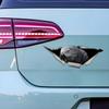 Африканский серый попугай 3D наклейка на автомобиль, забавная водонепроницаемая наклейка для автомобилей, грузовиков, мотоциклов, стен, окон, материал ПВХ