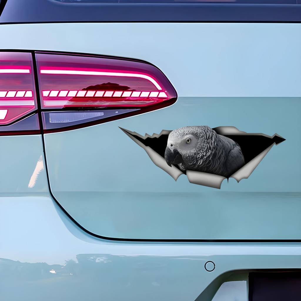 Африканский серый попугай 3D наклейка на автомобиль, забавная водонепроницаемая наклейка для автомобилей, грузовиков, мотоциклов, стен, окон, материал ПВХ
