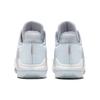 Nike Кроссовки LeBron Witness 6 EP 'Pure Platinum' DC8994-003