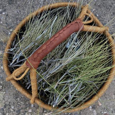 Мормонский чай, Джойнтфир Айн Ханта | Эфидра Жирардиана