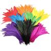 30-35CM Rooster Tail Feathers for DIY Jewelry, Hat, and Clothing Accessories