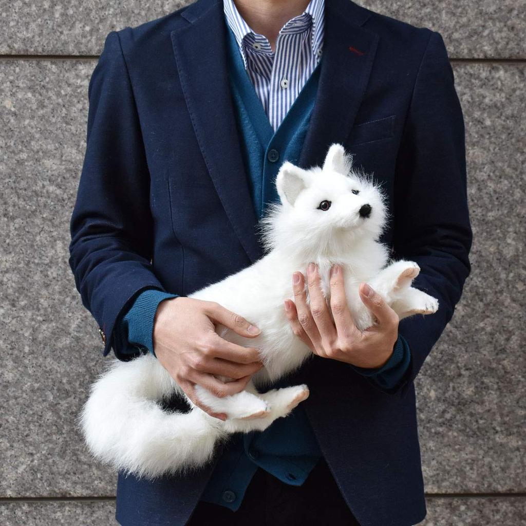 BH6822 HANSA Arctic Fox 40