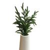Plastic Fake Pine Cone Christmas Tree Simulation Pine Needle Creative Artificial Pine Branch  Gift