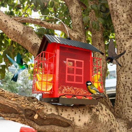 Birds Feeder for Outdoors Hanging Metal Mix Seeds Feeder with Double Suet Cage Outside Wild Birds Feeder for Garden Backyard Decor