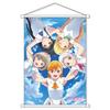 Love Live Superstar B2 Гобелен Wish Song Прибл. H72.8 x 51.5см Сделано из редкой замши