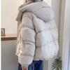 Осенняя Теплая Короткая Куртка Хлопковые Парки Базовое Пальто Женские Зимние Парки Женская Куртка Верхняя Одежда