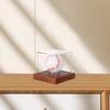 Baseball Display Case Memorabilia Box, Souvenir Storage Box Holder, Showcase Dustproof