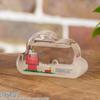 Chatani Snoopy PEANUTS Storm Glass Cloud SS xx Fun Science W9.0 D4.5 H5.5cm 151-333001