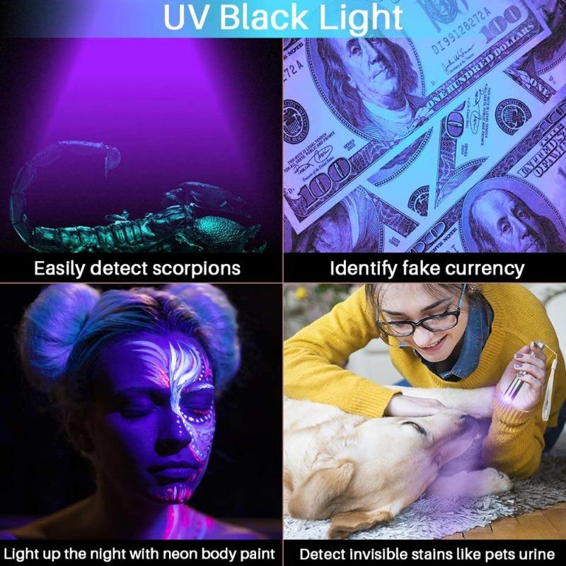 1PC 3 In 1 Rechargeable USB Multifunctional Money Detector Light LED Violet Flashlight Cat Command Light Training Tool HMM