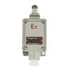 TNDACN Explosion-Proof Roller Limit Switch