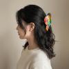 Parrot Bird Hair Clip Korean Style Cartoon Animal Shark Clip Personalized Acrylic Hair Claw  Female