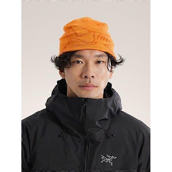 Шапка-бини Arc'teryx Bird Head Синяя Шерсть Мериноса Вязаная Зимняя Шапка Унисекс Синяя