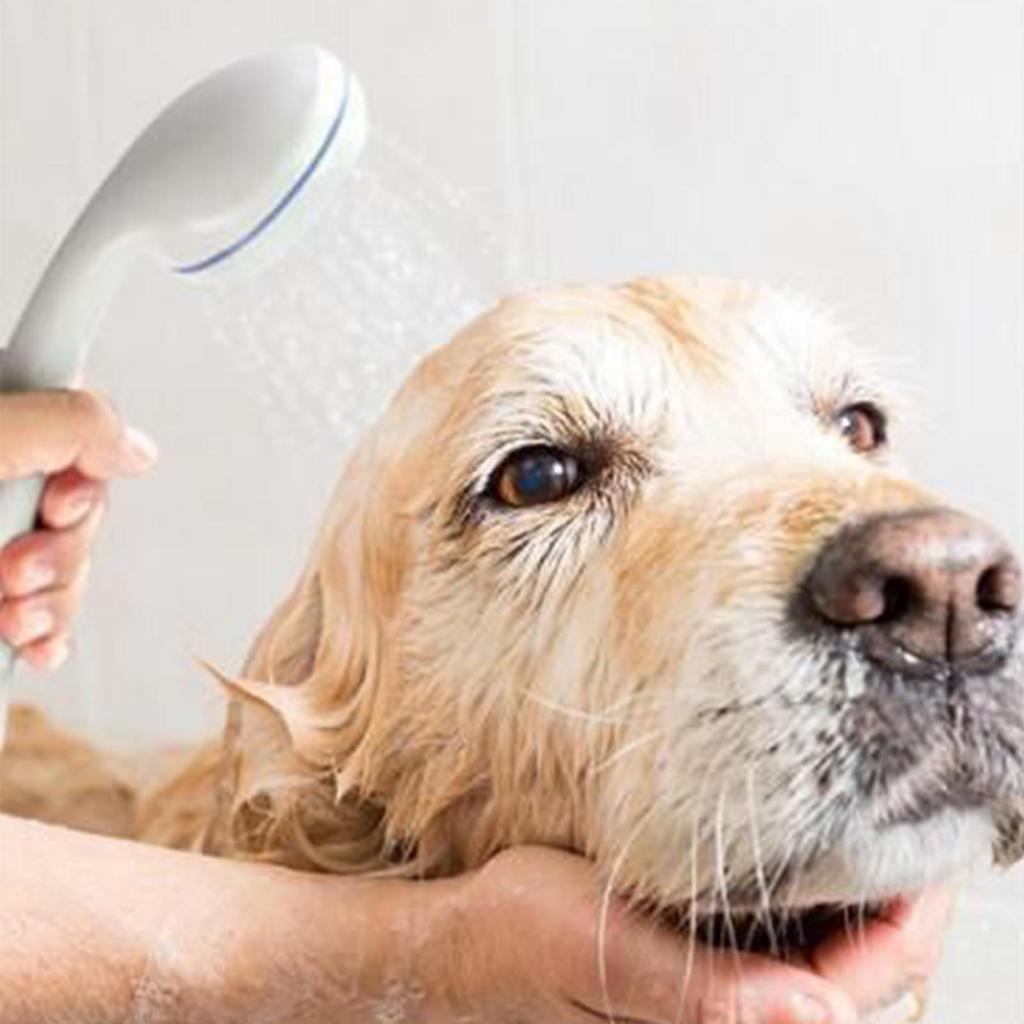 1 шт. Насос для кемпинговой душевой кабины, набор для душа для автодома, походный душ, ручной водяной насос с шлангом для кемпинга, пеших прогулок, пляжа, путешествий