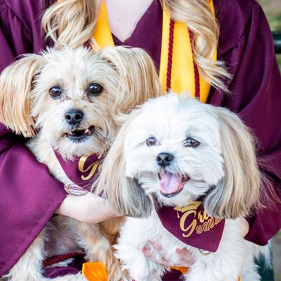 Полотенце для слюны домашних животных, треугольный регулируемый принт, большая бандана премиум-класса для выпускного питомца для всех