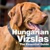 Книга Hungarian Vizslas The Essential Guide by UNKNOWN - Paperback