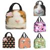 Guinea Pig with Popcorning Lunch Box Insulated Waterproof Lunch Bag Reusable Lunch Tote with Front Pocket for Beach Picnic