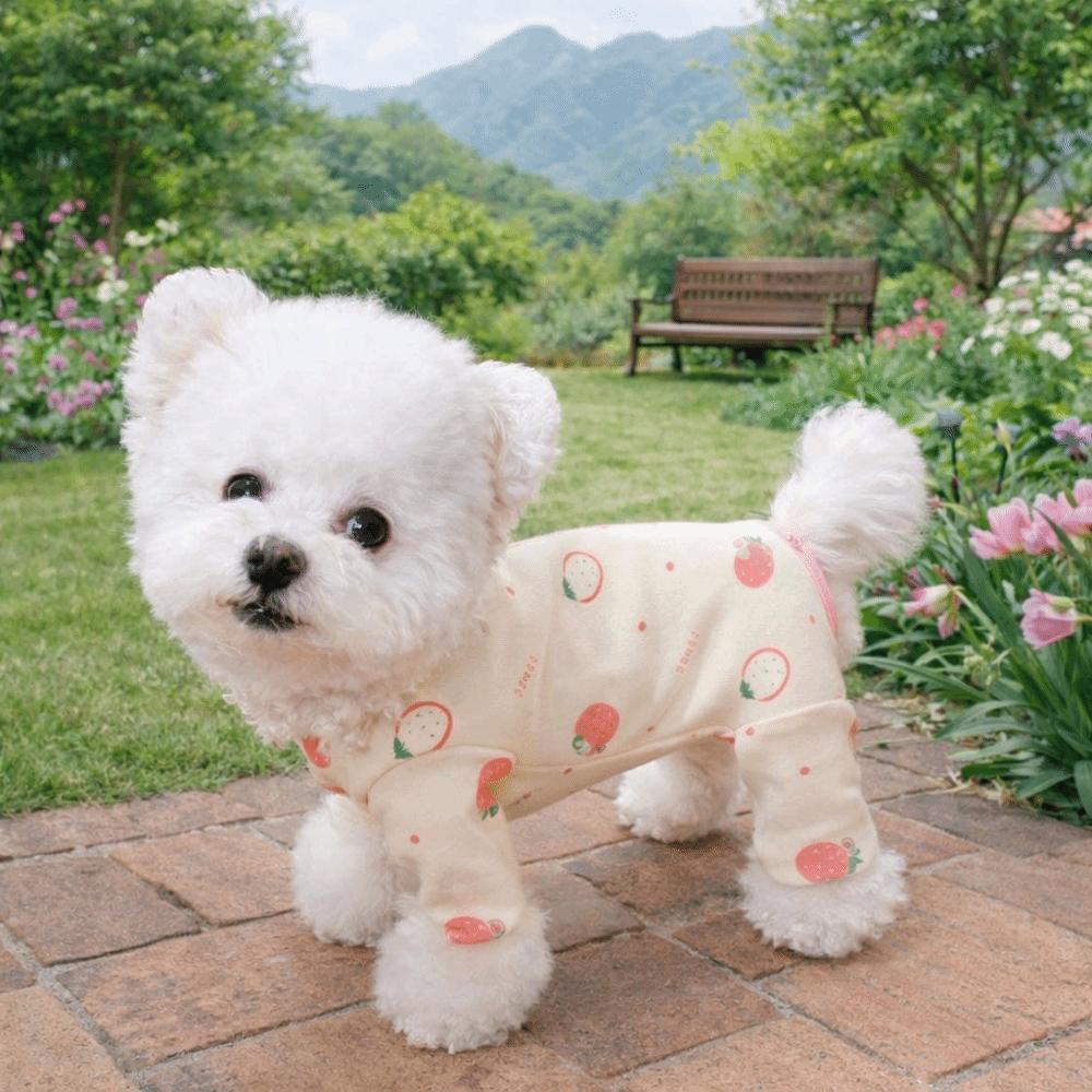 Warm Four-Legged Dog Pajamas Cartoon Printed Dog Jumpsuit All Inclusive Pet Casual Wear Home Wear