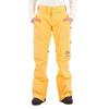 Burton Брюки Ak Goretex Summit
