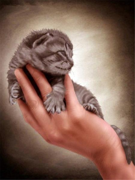 Алмазная картина Кот 5D DIY Алмазная вышивка Распродажа Вышивка крестиком Животные Стразы Мозаика Комплект украшения дома