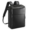 Ace Gene Gadgetable WR2 Business Backpack, Holds B4 Size and a 15.6-inch PC, 16L, No. 68663
