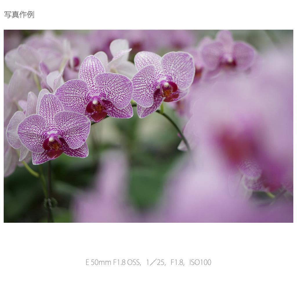 Sony Single Focus Lens E 50mm OSS Format Only F1.8 APS-C