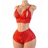 Sexy Lace Lingerie Sets Women Hollow Out Bra And Panty High Waist Sheer Mesh Babydoll Sleepwear Valentine's Day Clothing
