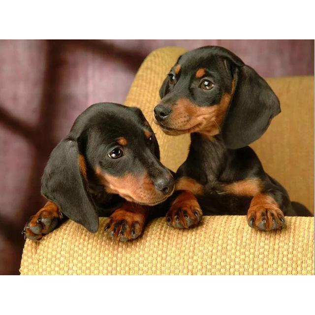 DIY 5D Алмазная картина Собака Милый питомец Вышивка крестом Алмазная вышивка Животное Мозаика Полный дрель Круглый