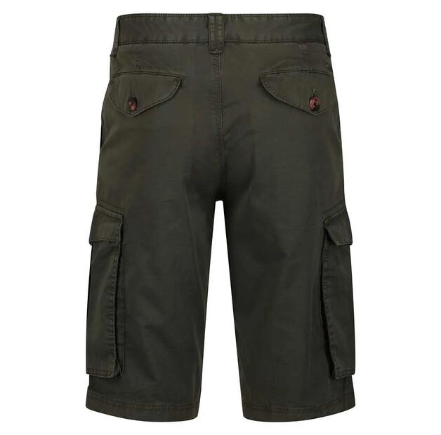 Regatta Шорты Shorebay