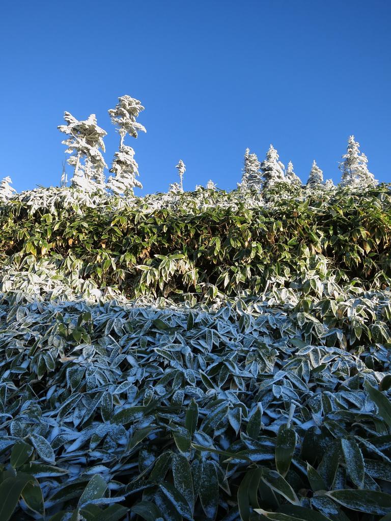 Canon PowerShot S100 Silver Digital Camera with 24mm Wide 5x Optical and a TFT LCD Color Monitor (PSS100(SL)) 12.1 Megapixels, Angle, Zoom, 3.0-inch