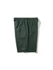 Мужские шорты DYNAFIT Air Stripe_Туманно-зеленый Ymm263481F