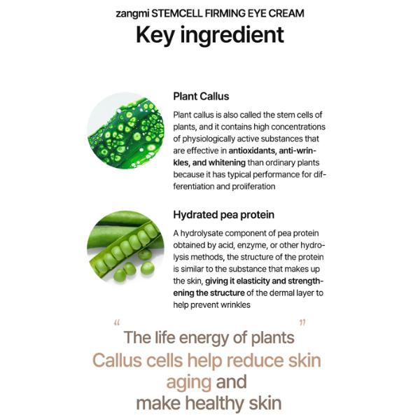 Zangmi Укрепляющий крем для кожи вокруг глаз со стволовыми клетками 40 мл (3 варианта)