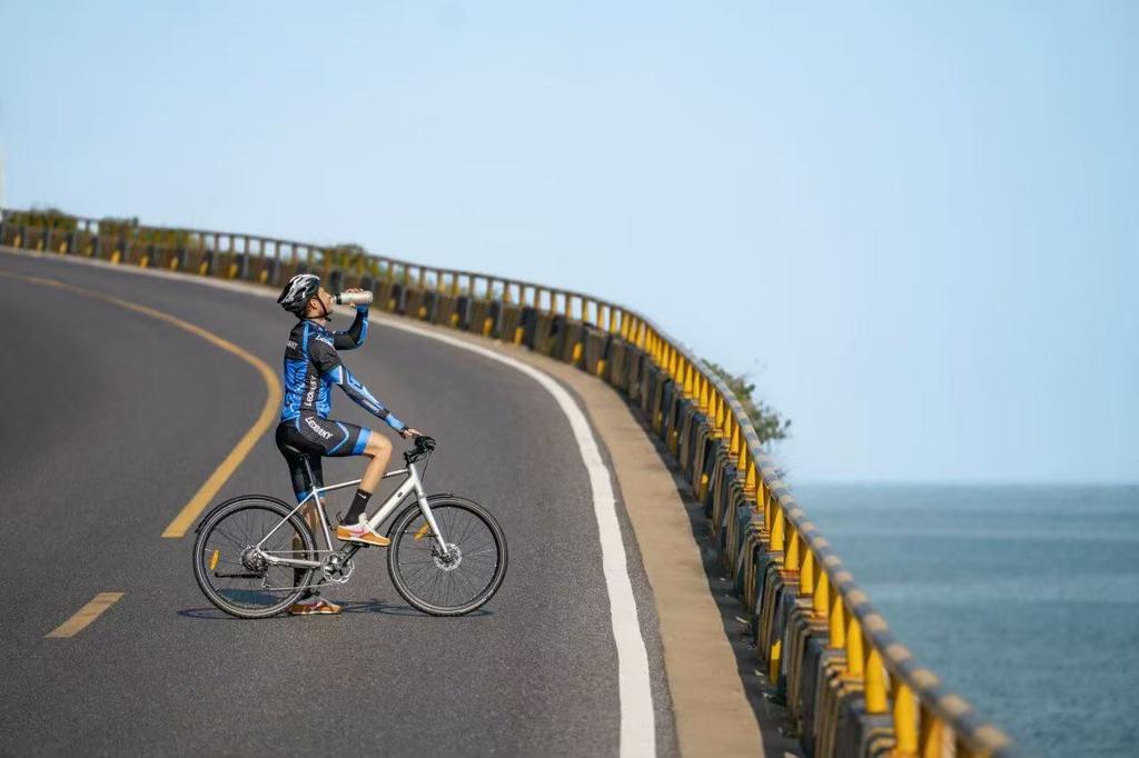 DYU Stroll 1 E-bike 250W Brushless Motor 36V9AH Battery Electric Bicycle 16Inch Tire City Electric Bike Riding assistance model, without throttle