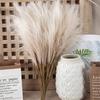 5/1pcs Faux Pampas Grass, Pampas Grass for Floor Vase, Pampas Grass Decor for Vase Fillers Home Decor Wedding Parties Holidays