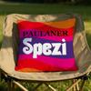 PPaulaner Spezi Logo Cushion Cover Soft Reversible Durable Pillow Cover MultiScene Use for Home Car Daily Comfort