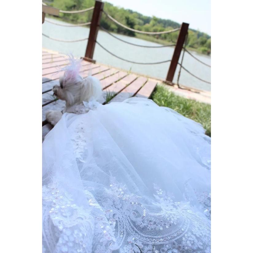 Fine Sequin Embroidery Pet Dog Clothes Luxury Handmade White Lace Long Tail Princess Dresses For Small Medium Dog Puppy Skirts