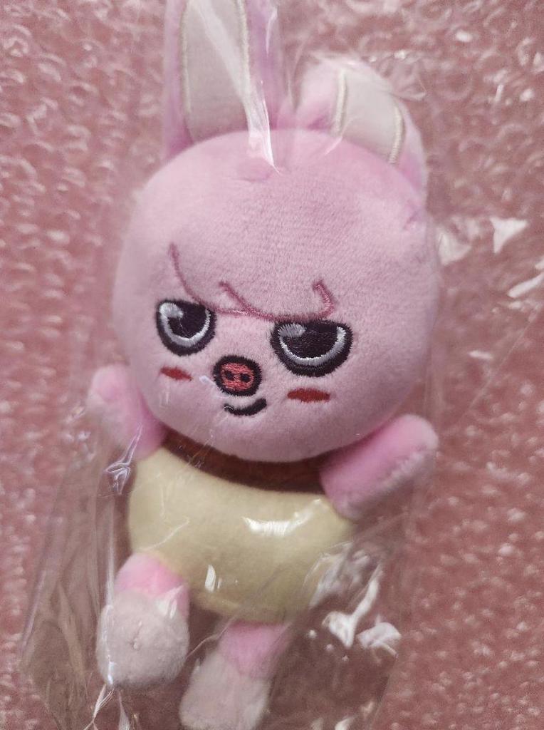 Stray Kids MANIAC ENCORE Official MD SKZOO BAG CHARM Complete Set Plush Pudding Limited JAPAN SKZ New