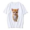El Gato Meme Sad Crying Cat Munchkin Kitty Meme Trendy Graphic T-shirt Unisex Fashion Short Sleeve Oversized Streetwear