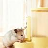 Leak-Proof Hamster Water Dispenser 2 IN 1 Automatic Feeder Prmeium Food Feeding Bowl  Business Trip