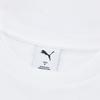 Puma Мужская футболка с коротким рукавом и круглым вырезом с логотипом-буквой 637335-02