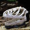 Simulation Resin Dinosaur Skull Ornaments Diy Aquarium Fish Tank Decoration