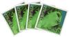EVAH PIRAZZI Violin String Set (E String: Gold Steel, 0.27 Ball End)