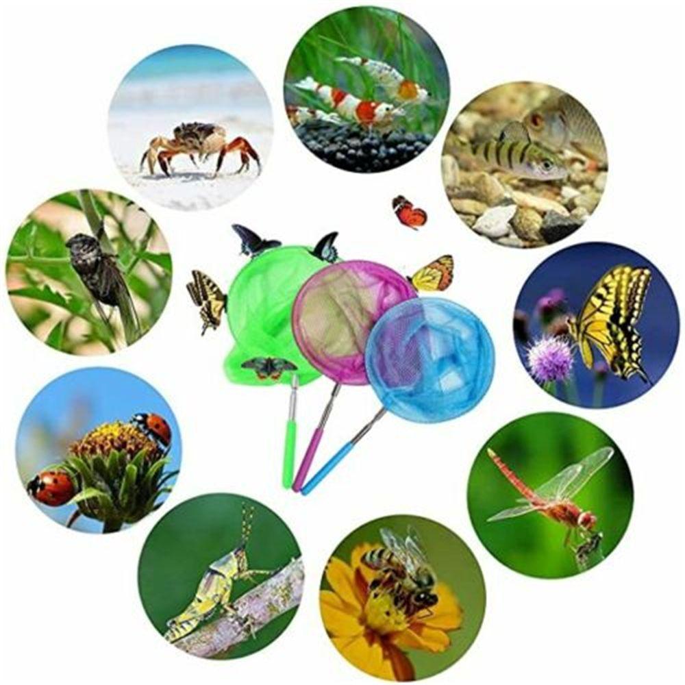 Stainless Steel Rod Catch Tadpole Fish Bucket Bug Catching Net Butterfly Dragonfly Net Insect Cage